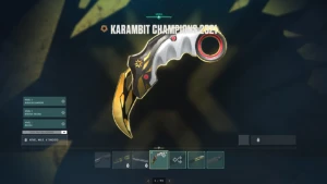 Conta Valorant Dream Todas Skins e Pacotes Raros Platina 1