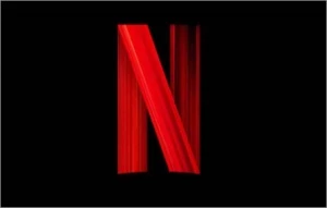 NETFLIX INFINITA - ENVIO IMEDIATO 🔥 - Assinaturas e Premium