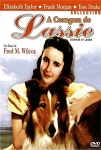 Filme A Coragem de Lassie Dublado (Google Drive) - Outros