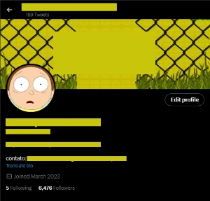 Página do Twitter - Alto Engajamento e Seguidores - Redes Sociais