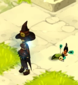 Trajes Raros Wakfu