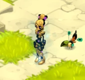 Trajes Raros Wakfu