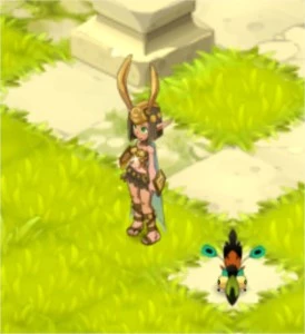 Trajes Raros Wakfu