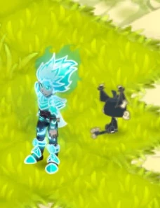 Trajes Raros Wakfu