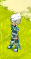 Trajes Raros Wakfu