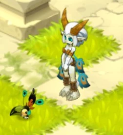 Trajes Raros Wakfu