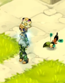 Trajes Raros Wakfu