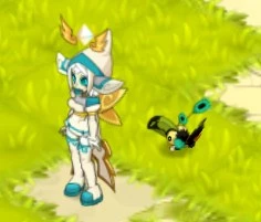 Trajes Raros Wakfu