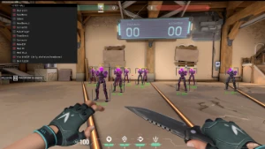 WALLHACK PRIVADO VALORANT MENSAL - CV STORE