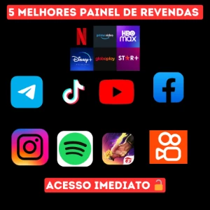 5 melhores painéis de revenda de serviços - Outros