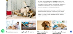Template editável Pet Shop Institucional Wordpress - Artes e Templates Artes Canva