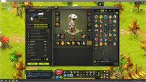 conta dofus