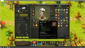 conta dofus