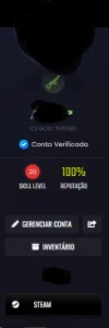 conta com 7k horas lv 20 gc 10 faceit - Counter Strike CS