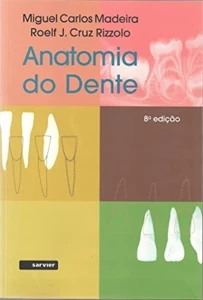 Anatomia do dente Madeira - Outros