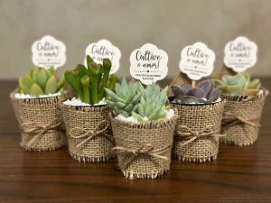Mini Suculenta — Lembrancinha com Rótulo Kraft Personalizado