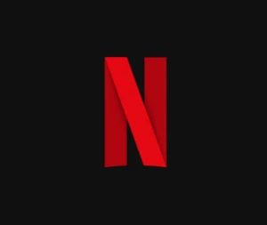 Netlix Tela Privada (30 dias) - Assinaturas e Premium