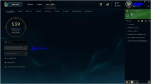 Conta League of Legends Borda platina 304 skins e all champs LOL