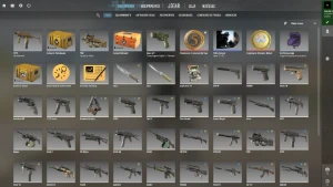 conta com prime medalha 5 anos - Counter Strike CS