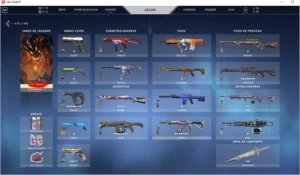 Conta valorant +1000 reais investidos