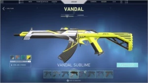 Conta valorant +1000 reais investidos