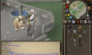 conta max old school - Runescape RS