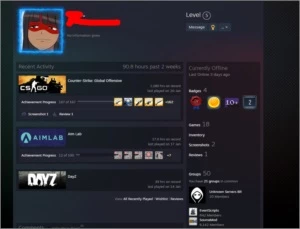 Conta Steam DayZ dark souls 3 black ops 3 fall guys e mais