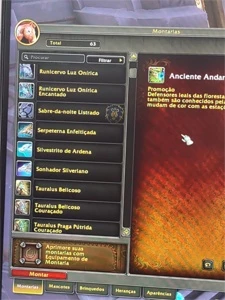 Conta wow com montaria invencivel - Blizzard