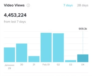 Visualizações - TIKTOK - Redes Sociais