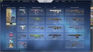Vendo conta de valoran com skins + 115 radianite + conta lol - Valorant