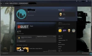 Conta steam nível 13