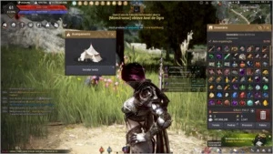 Conta BDO - Black Desert