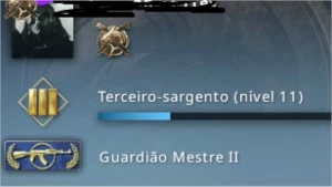 CONTA Ak2 14anos COM PRIME E OPERACAO - Counter Strike CS