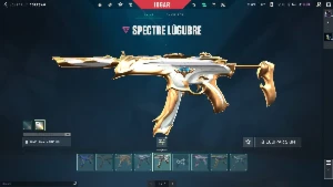 Conta de Valorant com 2k537 gastos de skin.