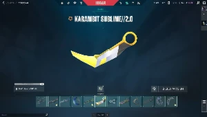 Conta de Valorant com 2k537 gastos de skin.