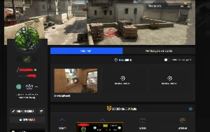 Conta Level 12 Gc + Medalha De 5 Anos De Serviço - Counter Strike CS