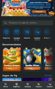 Casino completo - Softwares e Licenças