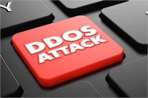 Bootcamp Ataques de Negação de Serviço (DoS) com Kali Linux - Cursos e Treinamentos