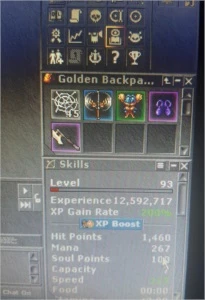 EK 93 \ 1KK BANK \ PACERA \ ML7 \ SKILL 90\84 AXE \\ SEM P.A - Tibia