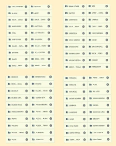 MILHARES DE TEMAS Encadernação, Etiquetas e sublimação - Outros