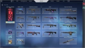 CONTA VALORANT 250 REAIS GASTOS