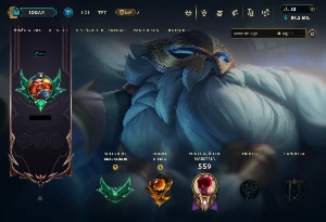 Conta de LoL - conta de 12 anos - 300 skins, todos os champs - League of Legends