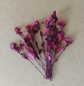 Flores secas - Chuvisco (10 unidades) - Artesanato e Personalizados