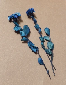 Flores secas - Chuvisco (10 unidades) - Artesanato e Personalizados