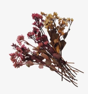 Flores secas - Chuvisco (10 unidades) - Artesanato e Personalizados