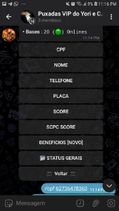 Grupo De Dados Vip - Serviços Digitais