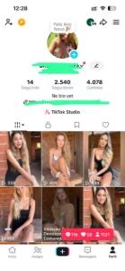 Conta TikTok 2k Seguidores REAIS (BARATO) - Outros