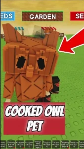 Pet grow a garden (Coruja owl) - Roblox