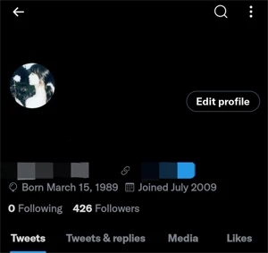 2009 Twitter account + 400 followers - Outros