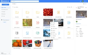 Script BeDrive - Parecido com o Google Drive  - Outros